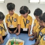🎨 School Activities That Empower Young Minds at The Dolphin International School 🐬